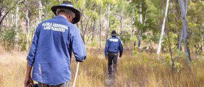 Aboriginal Land Managers walking through savannah.
