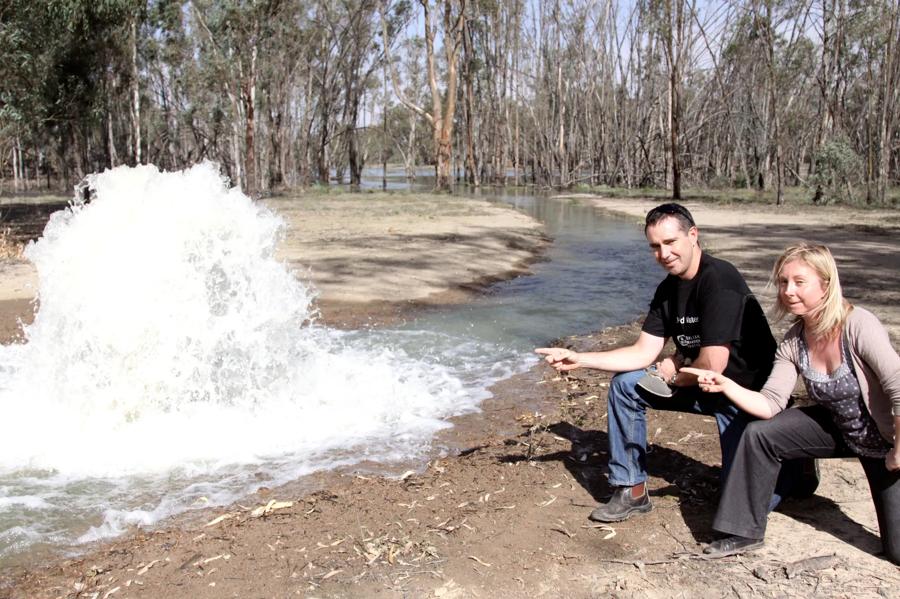 Restored wetland habitat at the Hattah Lakes, northern Victoria