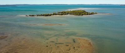 Wetlands in Toondah Harbour, Moreton Bay. Campaign against development.