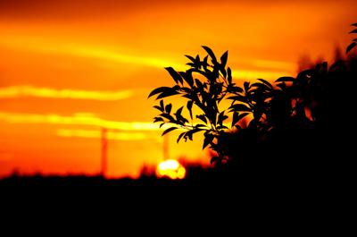 Heatwave graphic: rising temperature chart, red color, with text overlay "Heatwave".