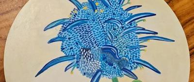 The Blue Devil Mimi Age 10 - A&T Highly Commended