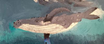 Blue whale illustration, runner-up award, Willow.