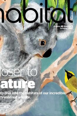 Header image: Lush green forest canopy, sunlight filtering through leaves.