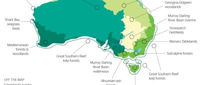Australian ecosystem, diverse flora and fauna, cropped image.
