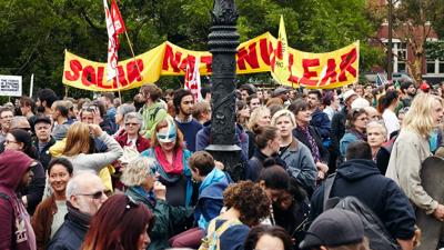 Green canopy of trees, sunlight filtering through leaves.