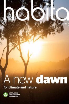 Header image: Lush green forest canopy, sunlight filtering through leaves.