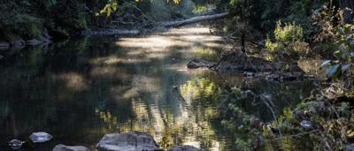 Pool at Broken River, Australia. Clear water, trees, mountain backdrop.