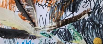 Gang-gang cockatoo, Alfie, perched on a branch, runner-up photo.