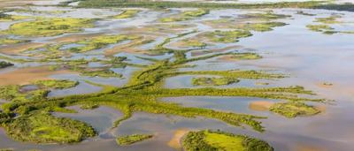 Wetland scene, water, reeds, sky, and distant trees.