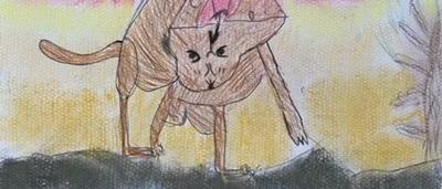 Woman smiling, holding a koala, outdoors, daytime.