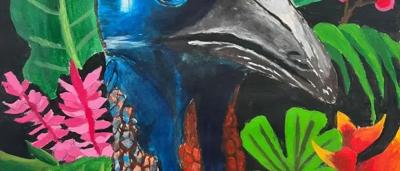 The endangered cassowary by Hannah age 11 - Regional - first place