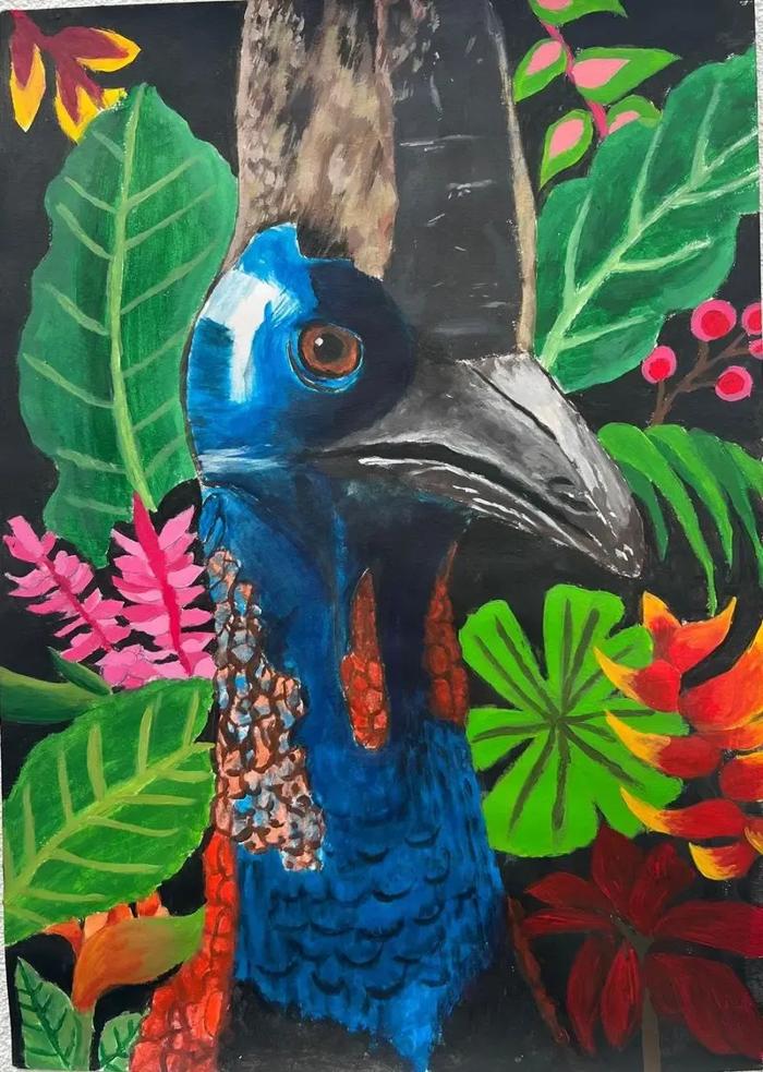 Artwork of a Southern Cassowary