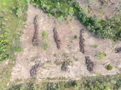 Wyaralong QLD DJI_0459