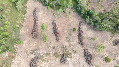 Wyaralong QLD DJI_0459