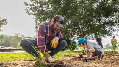 Kenmore tree planting day: People planting trees, sunny day.