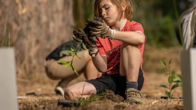 Kenmore tree planting day: People planting saplings in a grassy area.