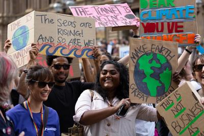 Header image: Australian forest canopy, sunlight filtering through leaves.