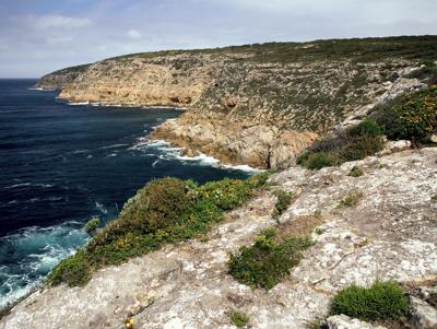 Limestone cliffs meet ocean, Whalers Way, Eyre Peninsula.