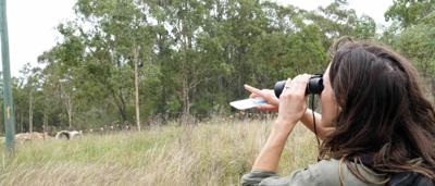 Woman inspecting forest site, suspected endangered woodland.