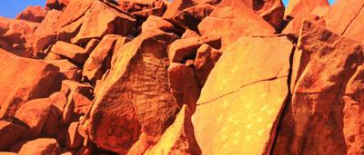 Woman in a white dress standing in a forest, sunlight filtering through trees.