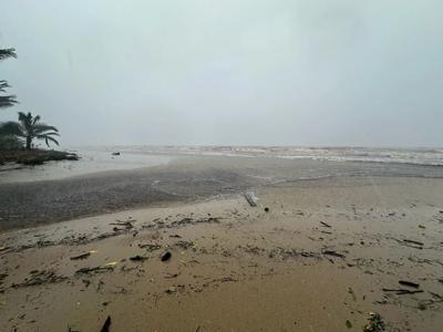 Header image: Wonga Beach, Queensland. Sandy beach, blue ocean, cloudy sky.