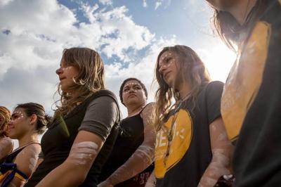 Header image: Green seed pods against a blurred background of green foliage.