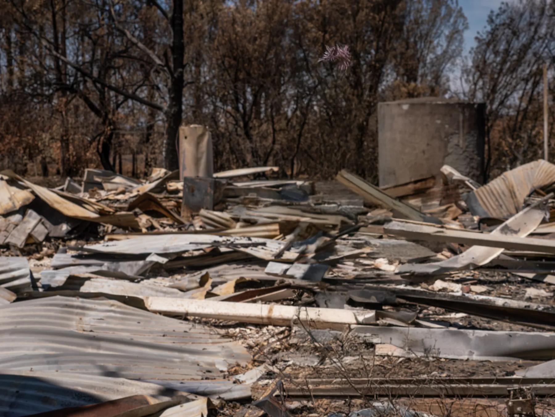 Jim Billings gesturing to the ashes — background