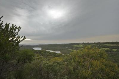 Manly Dam, Sydney. Scenic view with water, trees, and a person.