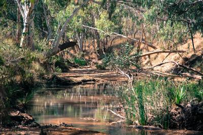 River landscape, Queensland. Wide shot, water, trees, sky.
