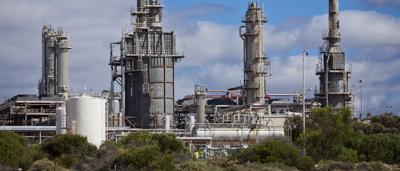 Green tree canopy, sunlight filtering through leaves.
