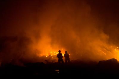 Bushfire smoke plume rising from a burning forest, orange flames visible.