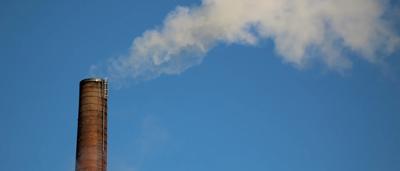 Woman with long hair, smiling, outdoors, sunlight, blurred background.