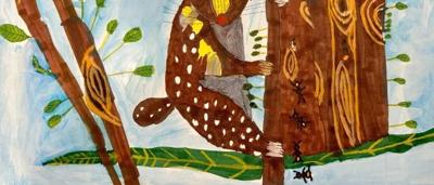 North Quoll, small marsupial, in grassy habitat.