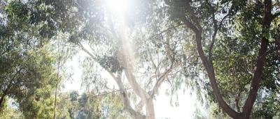 Woman in field, holding a camera, smiling. Green grass, blue sky, sunny day.