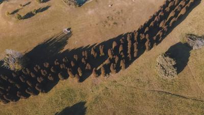 Environmental investigation graphic: person, magnifying glass, map, trees, and data charts.