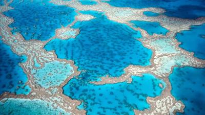 Blue ocean scene with coral reef and sunlight.
