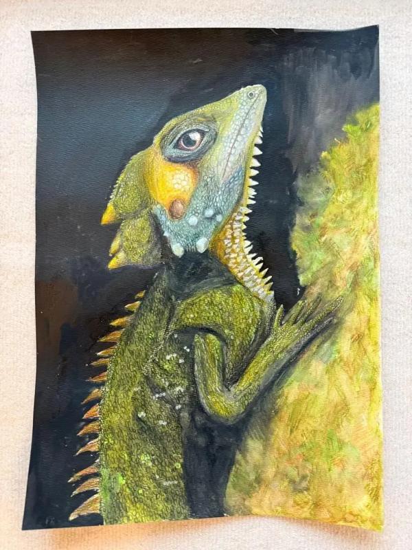 Wild At Art entry &lsquo;The Boyd forest dragon&rsquo; by Tsz-Wai, age 11