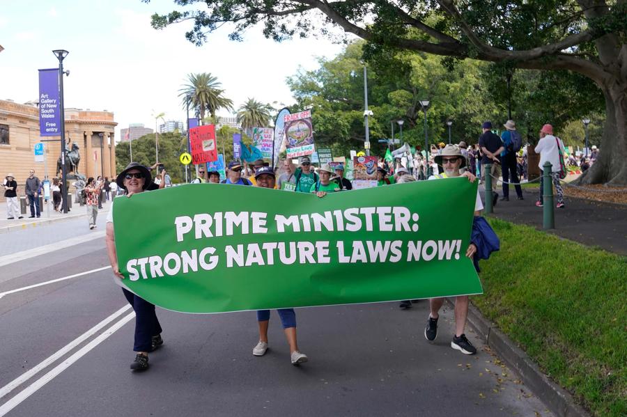 March for Nature 2024 — crowds march with a green banner reading 'Prime Minister: Strong Nature Laws Now!'