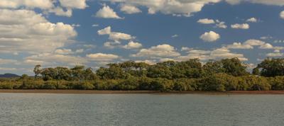Header image: Toondah Harbour, Queensland. Blue water, boats, and a sunny sky.