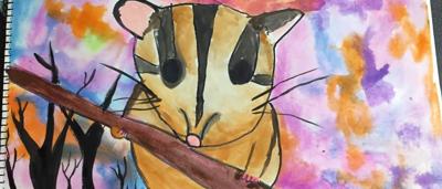 Little Leadbeater's Possum artwork, shortlisted, child's drawing, vibrant colors, forest habitat, threatened species.