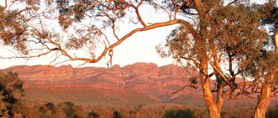 Elder Range, Flinders Ranges. Mountain range with layered rock formations under a blue sky.