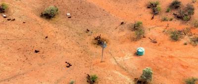 Climate change graphic: Earth with rising temperature graph, melting ice, and storm clouds.