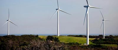 Wind turbines in a field, blue sky, sunny day.