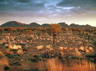 Outback landscape, The Olgas, red rock formations, blue sky, sunny day.