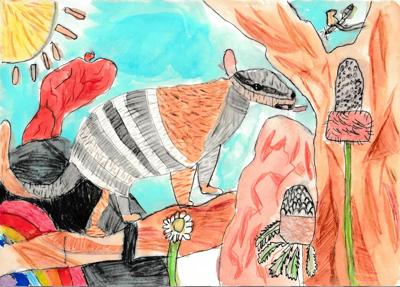 Numbat, My Little Friend, Ryan, in a natural habitat, looking at the camera.