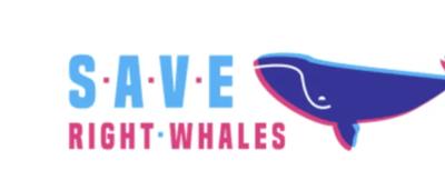 A right whale breaching the ocean surface, with a dark background and text.