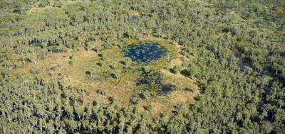 Header image: Cape York landscape, blue sky, green trees, and a road.