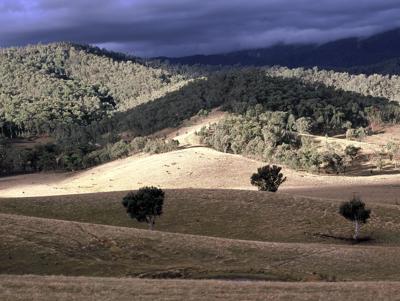 Snowy Mountains foothills landscape. Bette Devine photo.