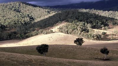 Snowy Mountains foothills landscape. Bette Devine photo.