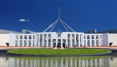 Green forest canopy, sunlight filtering through leaves.
